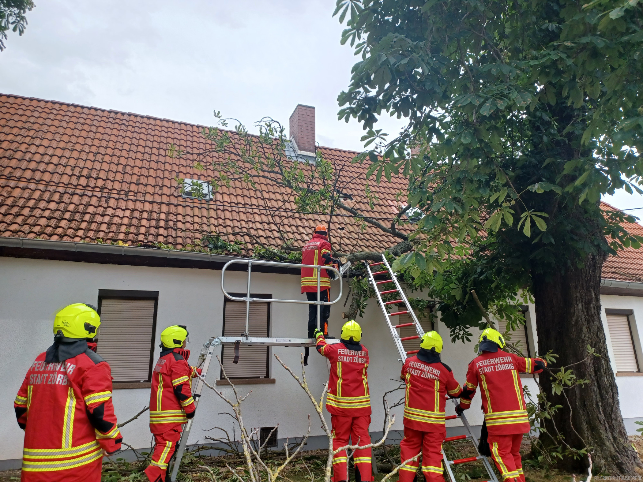 Einsatzfoto Ast auf Dach und ...